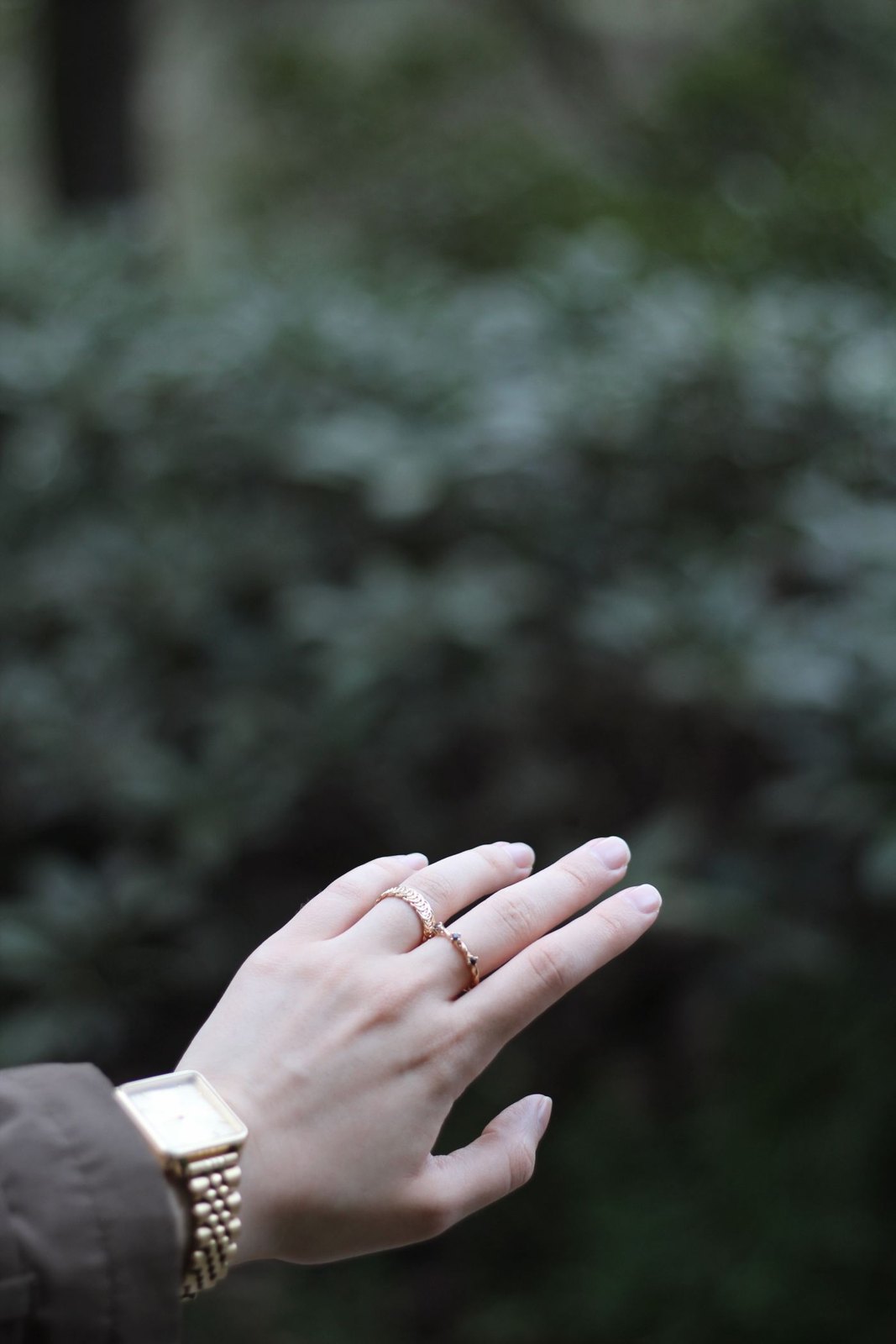 Rings worn on a hand beside a wristwatch